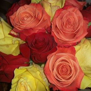 Meet your Posher, Harriet